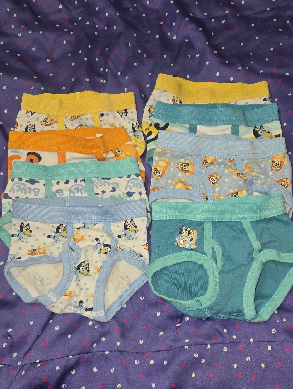 8 Count- Preowned- 4t Bluey Boys Underwear